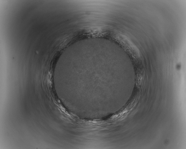 X0000097911010200803211459