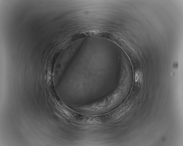 X0000097911011200803211500