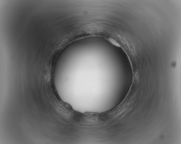 X0000097911012200803211500