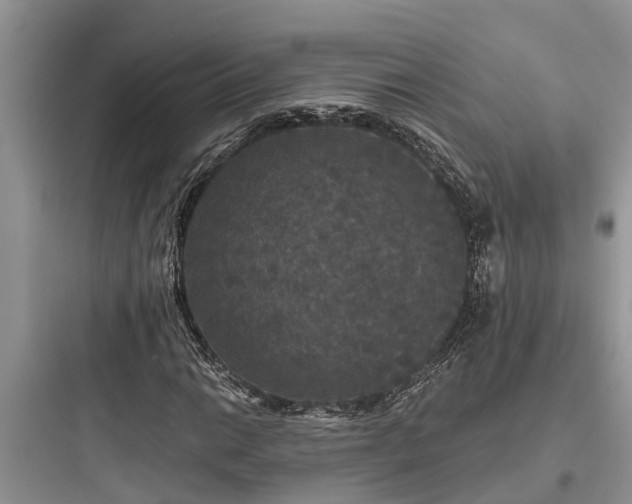 X0000097911014200803211500