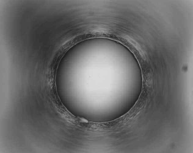 X0000097911015200803211500