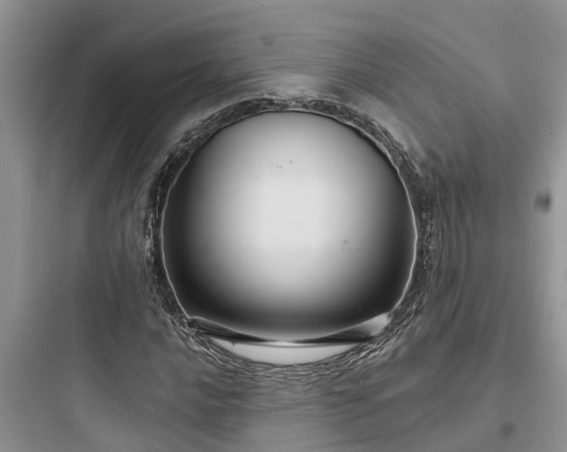 X0000097911016200803211500