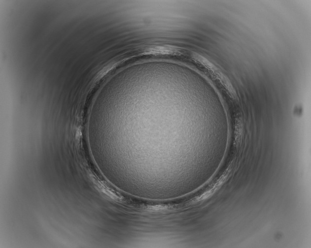 X0000097911017200803211500