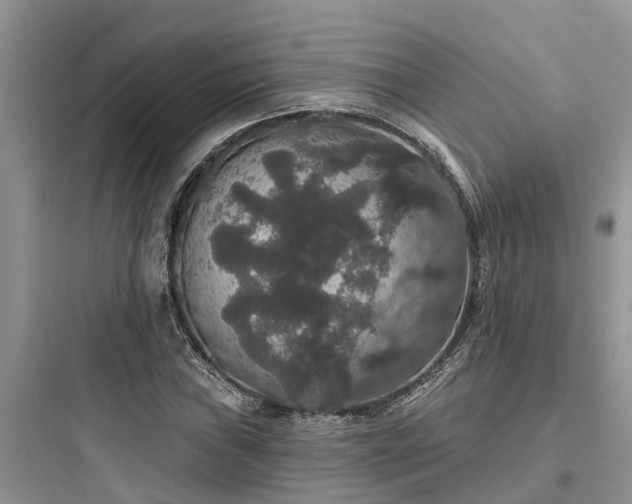 X0000097911019200803211500