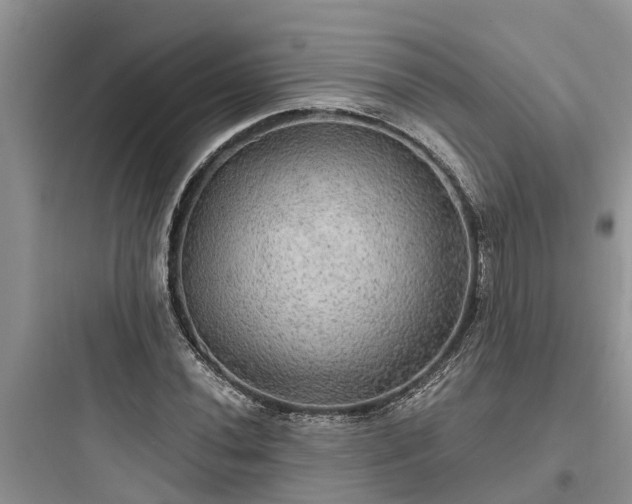 X0000097911020200803211500