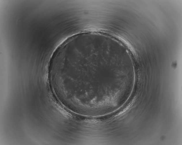 X0000097911023200803211500