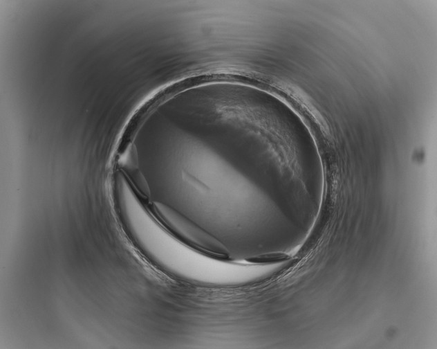 X0000097911024200803211500