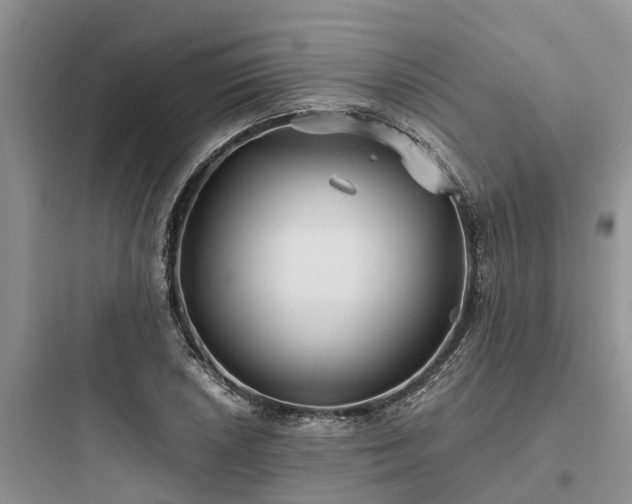 X0000097911026200803211500