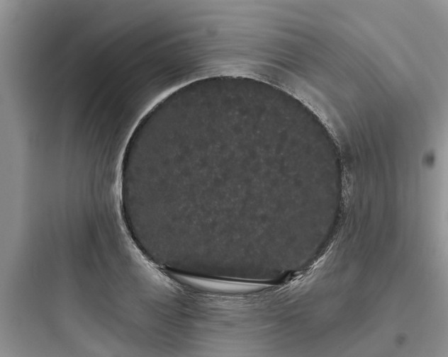 X0000097911028200803211500