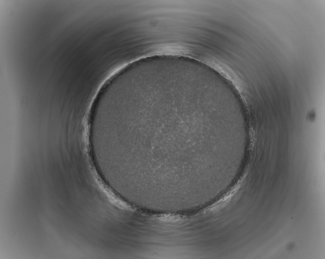 X0000097911029200803211500