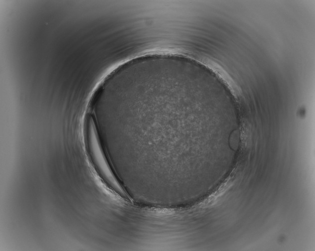 X0000097911030200803211500