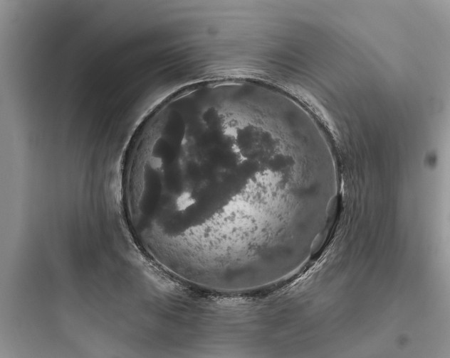 X0000097911031200803211500