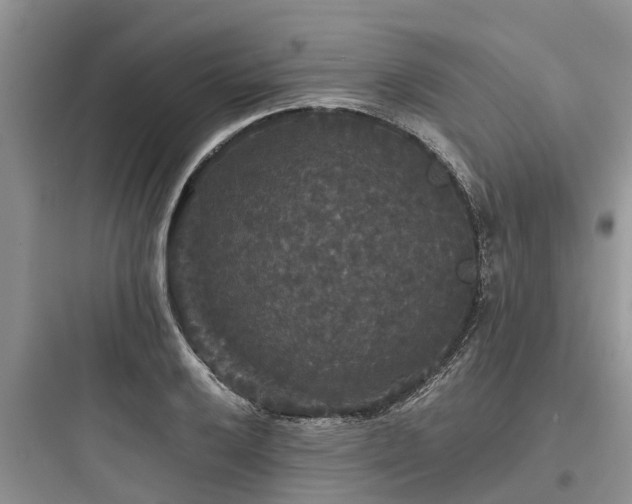 X0000097911032200803211500