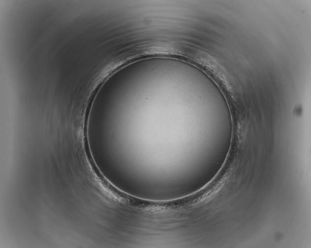 X0000097911033200803211500