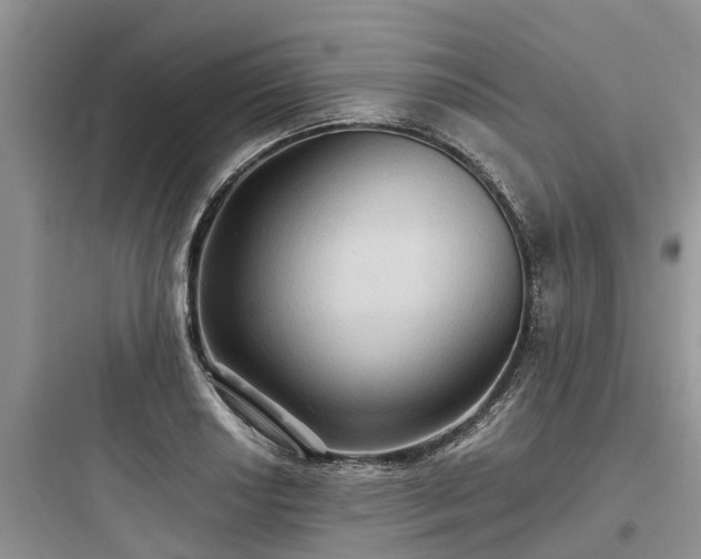 X0000097911034200803211500