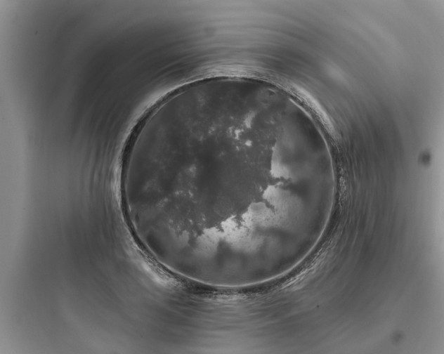 X0000097911035200803211500