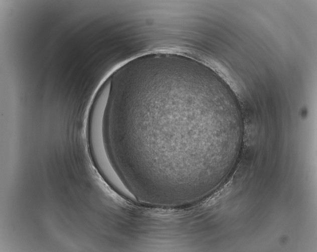 X0000097911036200803211500