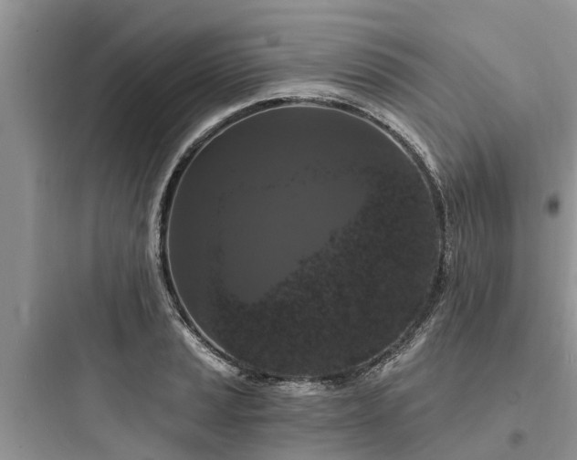 X0000097911037200803211500