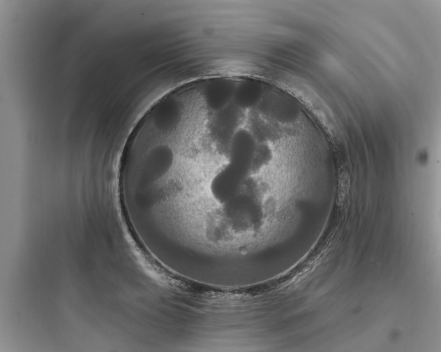 X0000097911039200803211500