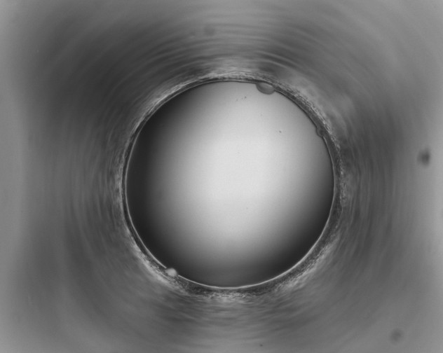 X0000097911041200803211500