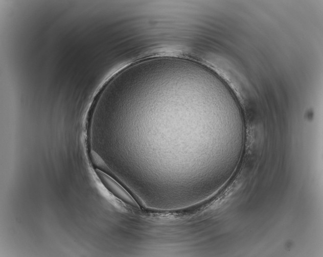 X0000097911042200803211500