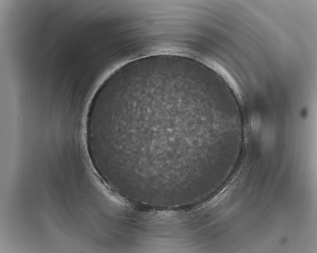 X0000097911043200803211500