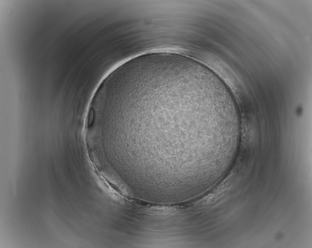 X0000097911044200803211500