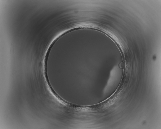 X0000097911045200803211500