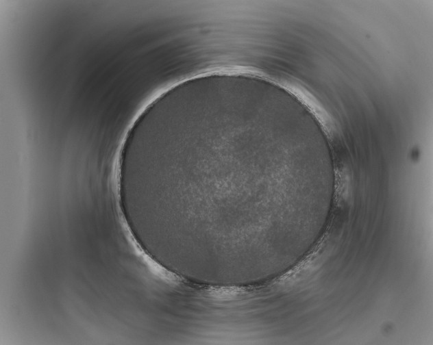 X0000097911046200803211500