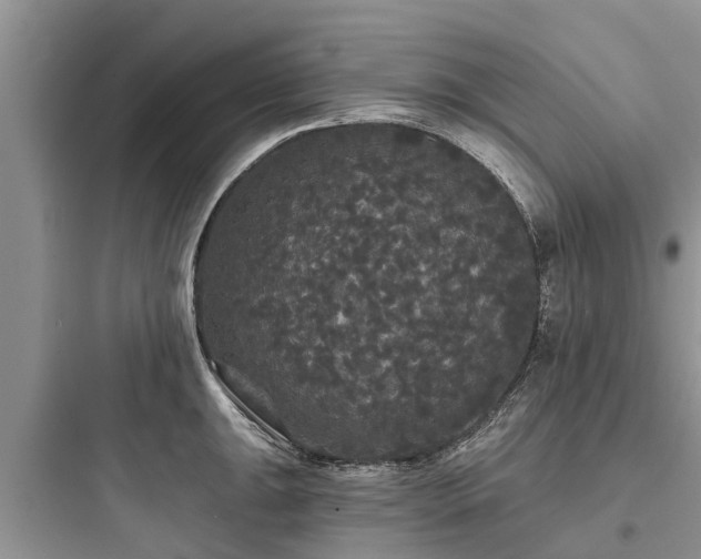 X0000097911047200803211500