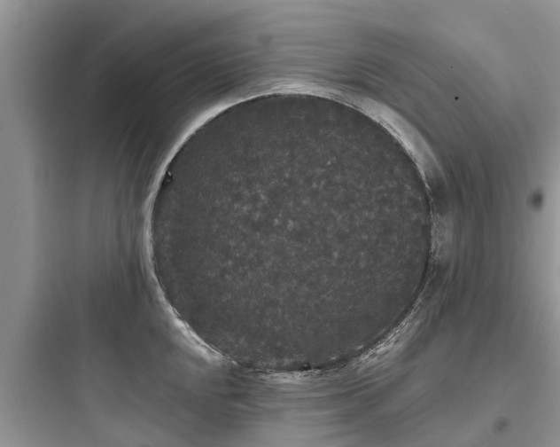 X0000097911048200803211500