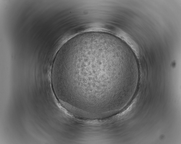 X0000097911049200803211500