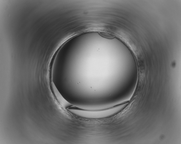 X0000097911050200803211500