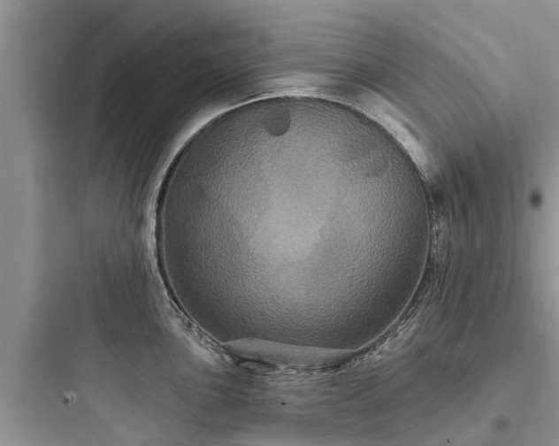 X0000097911051200803211500