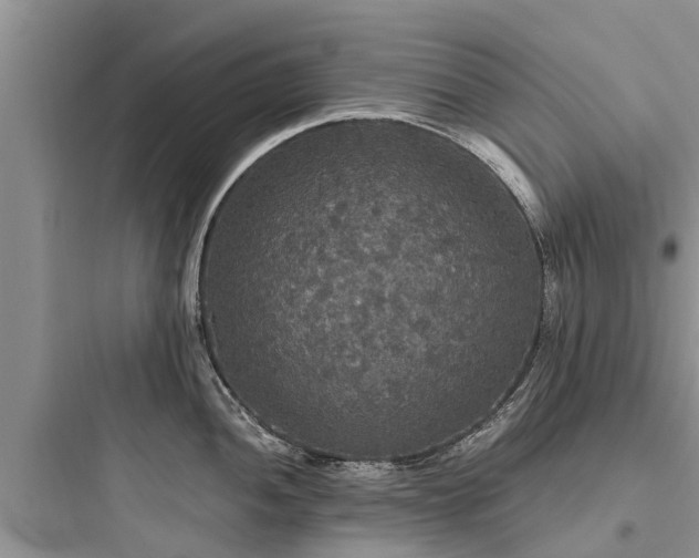 X0000097911052200803211500