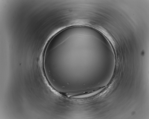 X0000097911053200803211500