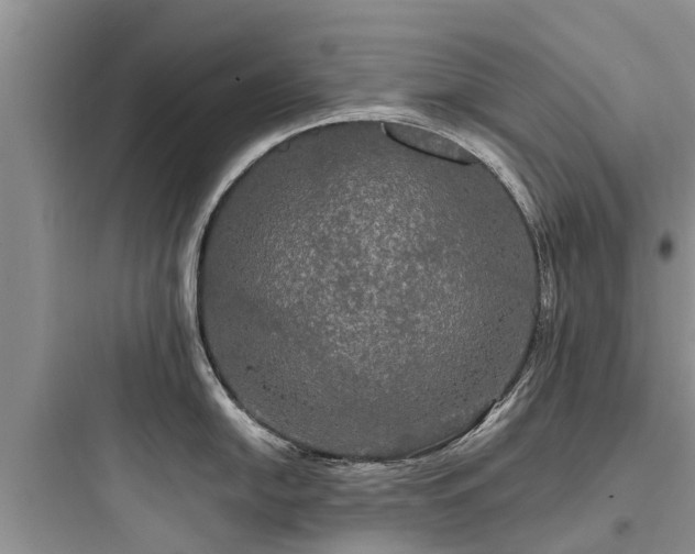 X0000097911054200803211500