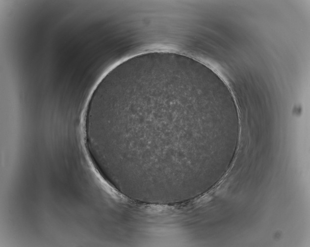 X0000097911056200803211500