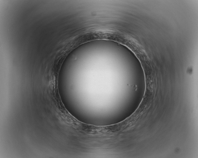 X0000097911061200803211459