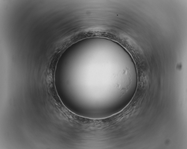 X0000097911062200803211459