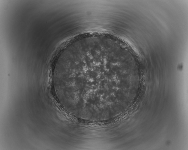 X0000097911063200803211459