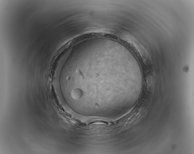 X0000097911064200803211459