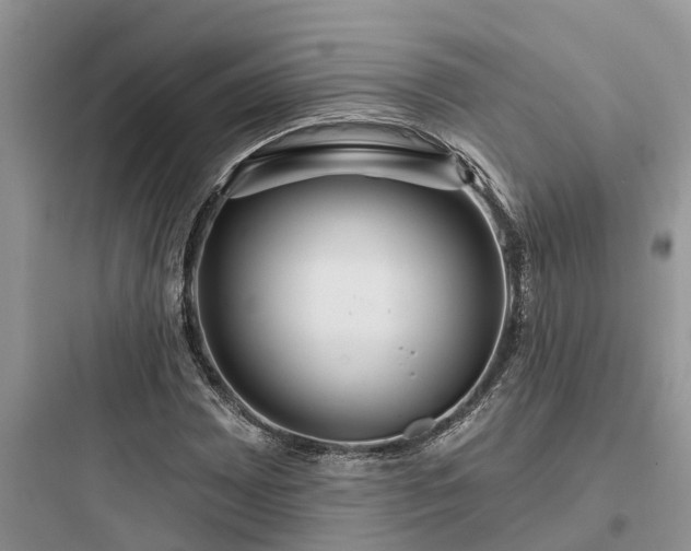 X0000097911065200803211459