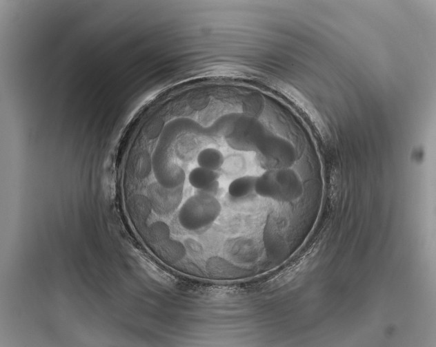 X0000097911067200803211459