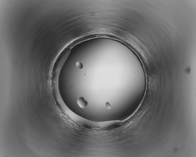 X0000097911068200803211459