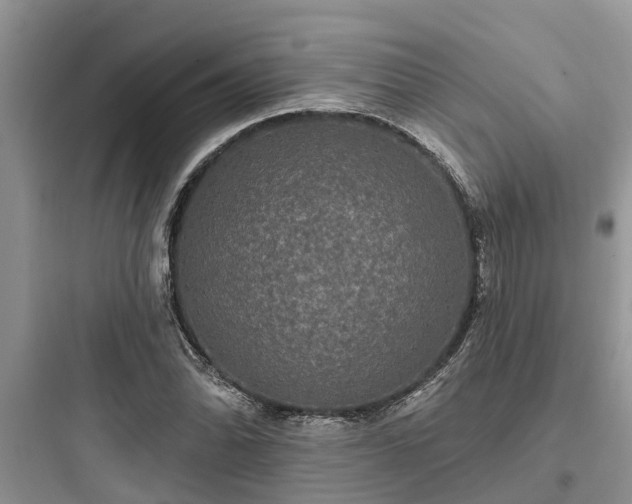 X0000097911070200803211459