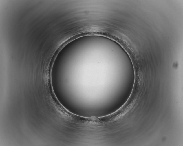 X0000097911073200803211459