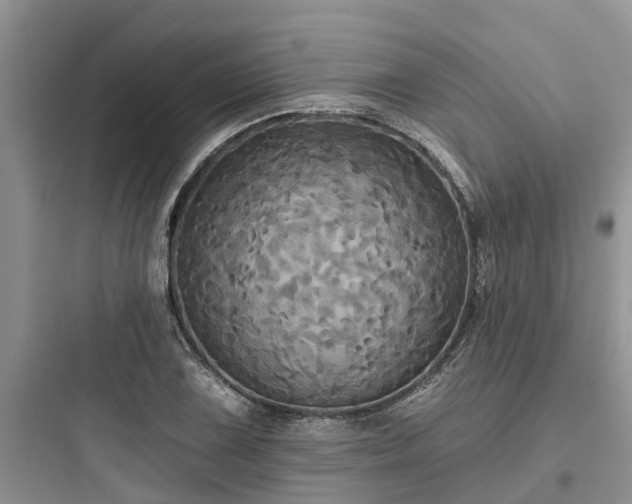 X0000097911075200803211459