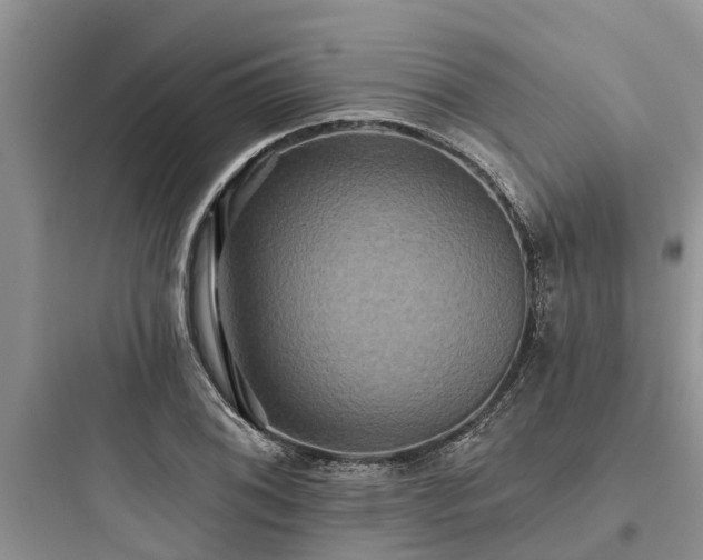 X0000097911076200803211459