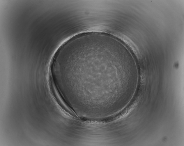 X0000097911077200803211459